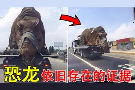 盘点恐龙依旧存在的证据（下），有人用摄像头捕捉到了恐龙的踪迹视频封面