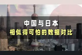 中国与日本，相似得可怕的数据对比！