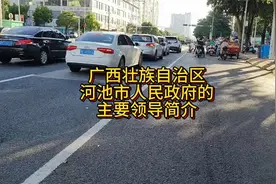河池市人民政府的主要领导简介视频封面