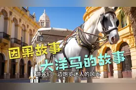 【因果故事】今生牛马为何因 前世欠债未还清视频封面