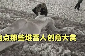 盘点那些堆雪人创意大赏，真的是高手在民间，看看谁的雪人最逼真视频封面