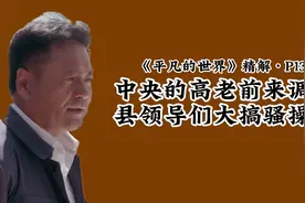 平凡的世界精解P13：中央的高老前来调研，县领导们大搞骚操作视频封面