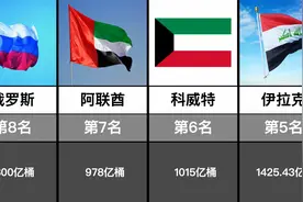 全球石油储量排名前20的国家，第一出人意料视频封面
