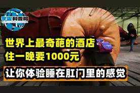 世界上最奇葩的酒店，住一晚要1000元，让你体验住在肛门里的感觉视频封面