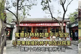 与苹果嫁接的杮子树您见过吗？北京纪念梅兰芳誔辰130周年院里有视频封面