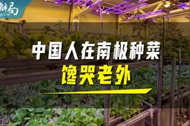 中国人科考队员在南极种菜，馋哭老外们！