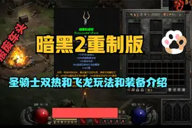 暗黑2重制版 圣骑士双热和飞龙玩法和装备介绍视频封面