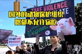 国外的动物保护组织都已经这么逆天了吗？视频封面