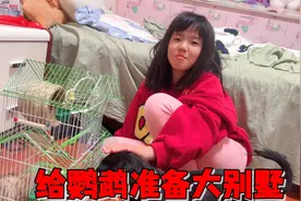 艾米的鹦鹉每天叫个不停，吵得妈妈想放飞它们，吓得艾米连连求情