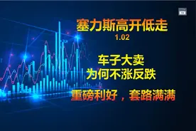 塞力斯销量翻翻，股价为啥不涨反跌视频封面