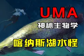 【UMA系列】CCTV-10的经典水怪，喀纳斯湖存在10米长的巨鱼吗？视频封面