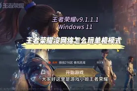 王者荣耀没网络怎么玩单机模式