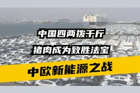 中欧新能源之战，中国四两拨千斤，猪肉成为致胜法宝视频封面