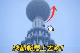 最疯狂的徒手无保护爬楼人，双子塔尖的大球都挡不住他，纪录片视频封面
