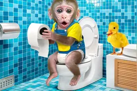 有趣的小猴子：小猴子和小鸭子上厕所的滑稽片段，谁是搞笑担当？视频封面