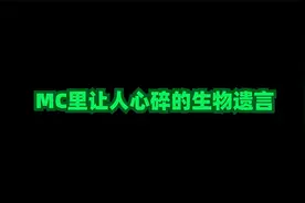 原来MC世界的伤感和人类是想通的，不信你来看看！