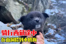 骑行西藏途中，在山洞捡到一只小奶狗，相处3天后带它一起上路视频封面