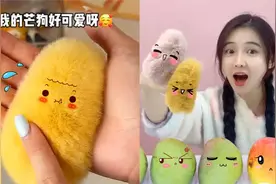 芒果核洗完变“小芒狗'！毛茸茸胖嘟嘟手感超好，真能DIY出来