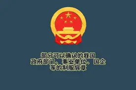 部分可以确认的我国政府部门、事业单位、国企等的制服肩章