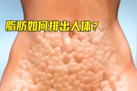 脂肪是怎么排出体外的？有一个很大的误区，出汗并不是在燃烧脂肪视频封面