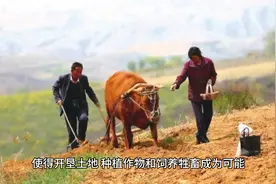 史前时期人类起源，旧石器时代和新石器时代视频封面