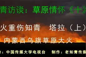 知青访谈：草原情怀《十》西乌旗草原大火 受重伤知青 塔拉（上）视频封面