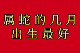 属蛇的几月出生最好视频封面