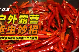 辣椒或者烟丝煮水能用于户外驱虫视频封面