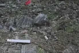 地震应急手册视频封面