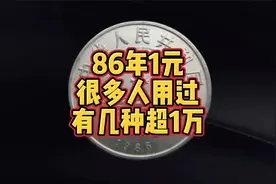 86年1元硬币，很多人曾用过，有几种超10000了视频封面