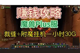 魔兽世界PLUS服务器赚钱攻略，裁缝+附魔站街挂机一小时轻松30G