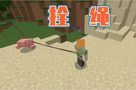 我的世界07：我要打蜘蛛得丝线做拴绳，途中遇见好多怪物，怎么办