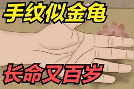 “手纹似金龟，长命又百岁”，最长寿的手纹，是你吗？长啥样？