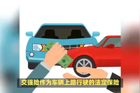 交强险可以推迟多久交视频封面