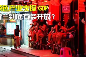世界上最开放的国家，颜色交易支撑经济，荷兰如今发展的怎样了？视频封面