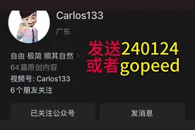 Gopeed一款现代化的下载器，支持BT磁力链接下载弥补IDM的不足！