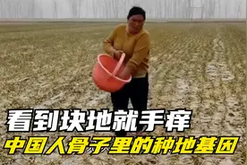 中国人对种地的执着，没有条件也能创造条件...视频封面