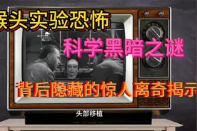 恐怖科学：猴头移植实验探秘，黑暗中隐藏的荒谬奇观视频封面