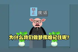 禁止废话：为什么我们做梦很难记住呢？涨知识了！