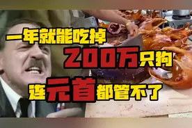 一年就能吃掉200万只狗，连元首都管不了！！视频封面