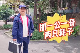 成都这家灭鼠公司的抓老鼠技术，真牛！视频封面