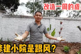 改造小院是跟风和模仿？阿龙坦白自己的动机，刷墙刷油漆自己动手视频封面