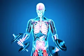 人类力量的极限在哪里？理论上我们能够举起多重的物体视频封面