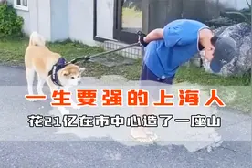 一生要强的上海人，花21亿在市中心造了座山，钞能力真的为所欲为视频封面