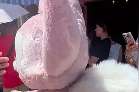 为什么迪士尼人偶头套不让碰摸头科普迪士尼