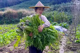 雪菜最简单的腌制方法，咸菜吃一年，超级下饭视频封面