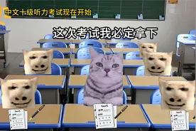 当老外参加中文十级听力测试视频封面