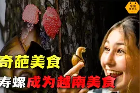 福寿螺成为越南美食！为什么那么多人喜欢，难道他们不怕寄生虫吗视频封面