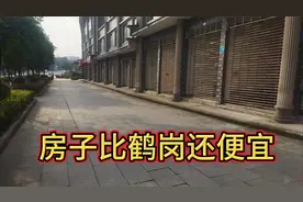 房子比鹤岗还便宜，买一套送一套，街道干净整洁，养老适合