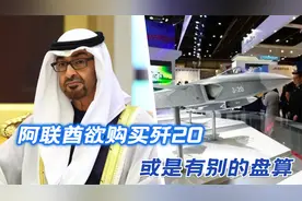 求购中国歼20战机，阿联酋的意外之举，全在中国意料之中视频封面